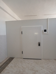 Walk-In Freezer Door in San Jose