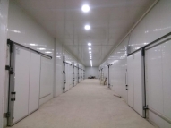 Walk-In Cooler Door in San Antonio