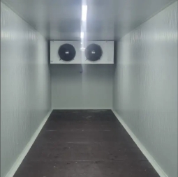 Plywood Floor Panel