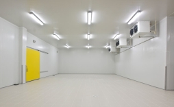Sliding Frezeer Door