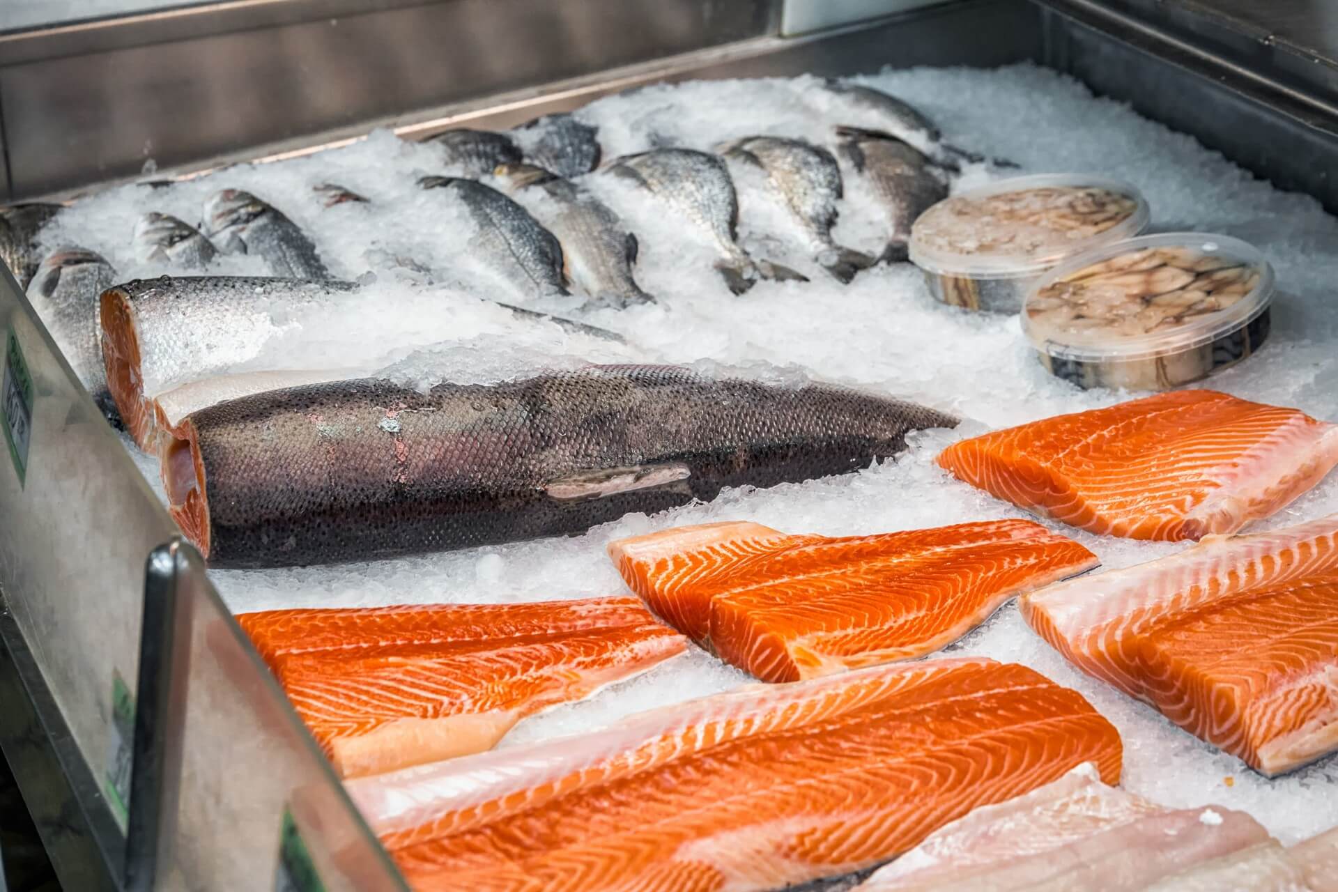 Where innovation meets reliability. Freezewize.