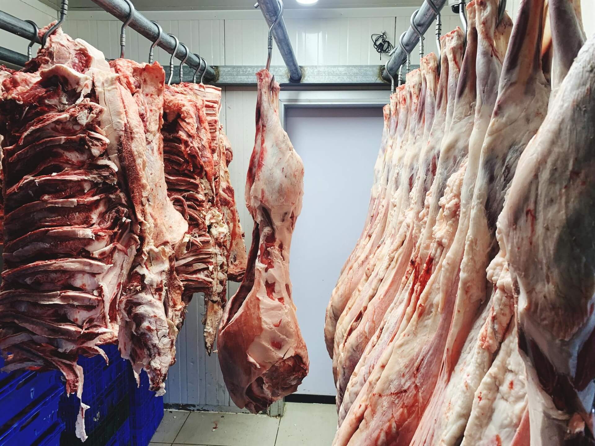 Where innovation meets reliability. Freezewize.